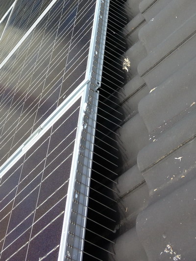 1 reihige Solar Taubenabwehr-Spikes 1 m lang aus Edelstahl