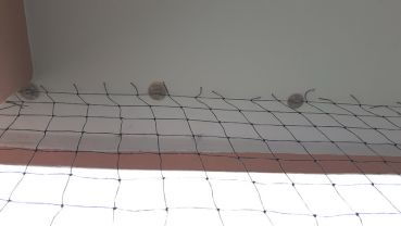 Balkon - Set für Balkone bis 10 m x 5 m (passend zuschneidbar), 1 geknotetes Netz 50 mm Maschenweite
