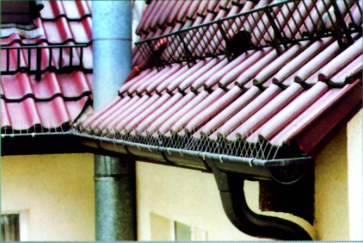 Rinne-Dachrinne Taubenabwehr-Spikes 50 cm lang aus Edelstahl 
